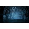 Dark Forest - Uncategorized - 