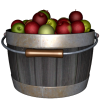 Apples - Sadje - 
