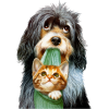 Dog & Cat - Animais - 