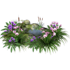 Flower Pond - Rastline - 