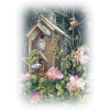 Flowers/Birds - Pflanzen - 