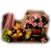 Flowers/Fruit - Rastline - 