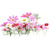 Flowers  - Растения - 