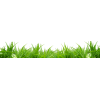 Grass - Nature - 
