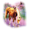 Horses - 动物 - 