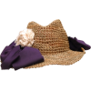Lanvin hat - 有边帽 - 