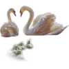 Swans - 動物 - 
