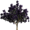 Tree - Natural - 
