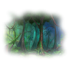 Forest - Narava - 