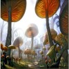 mushroom - Background - 