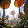 mushroom - Фоны - 