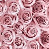 Roses - Mie foto - 