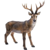 Deer - Animals - 