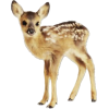 Deer - Animais - 