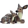 Deer - Animales - 