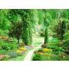nature garden - Ozadje - 