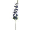 Delphinium blue - Растения - 