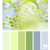 Design seed - Background - 