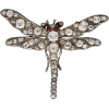 Diamond Dragonfly Brooch 1870s - Other jewelry - 