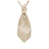 Dobell Boys Light Gold Satin Party Wedding Fancy Dress Accessory Tie Cravat - Tie - $14.95  ~ £11.36