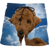 Dog Goldendoodle and Night Sky Swim Shor - Hlače - kratke - $43.00  ~ 273,16kn