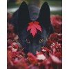 Dog In Leaves - Животные - 