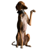 Dog - Животные - 