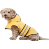 Dog in Raincoat - Uncategorized - 
