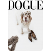 Dogs - Tiere - 
