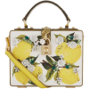 Dolce & Gabbana Lemon Box Bag - Kleine Taschen - $3,085.00  ~ 2,649.66€