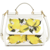 Dolce & Gabbana handbag - Bolsas pequenas - 