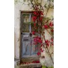 Doors - My photos - 