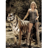 tiger - My photos - 