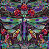 Dotty Dragonflies - Illustrations - 