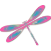 Dragonfly 1 - Uncategorized - 