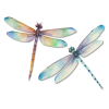 Dragonfly 2 - Uncategorized - 