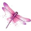 Dragonfly 5 - Uncategorized - 