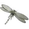 Dragonfly - Rascunhos - 