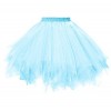 Dressever Vintage 1950s Short Tulle Petticoat Ballet Bubble Tutu Light Blue Large/X-Large - Underwear - 