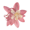 Dried flower - Rastline - 