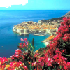 Dubrovnik - Natural - 