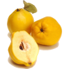 Fruit - Frutas - 