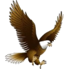 Eagle - Animales - 