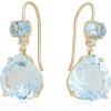 Earrings - Earrings - 