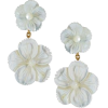 Earrings - Brincos - 