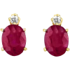 Earrings - Orecchine - 