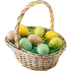 Easter Basket - Plants - 