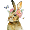 Easter Bunny - Illustraciones - 
