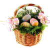 Easter Flower - Plantas - 