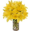 Easter flowers - 植物 - 